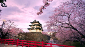 japan japan