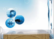 magnet protiv kamenca